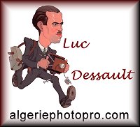 Luc Dessault